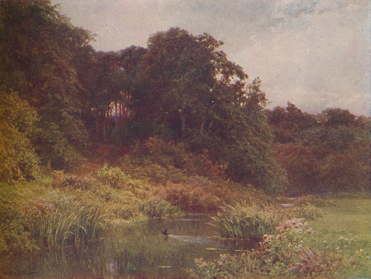 Egy patak, 1910 alkotó: Harold Sutton Palmer