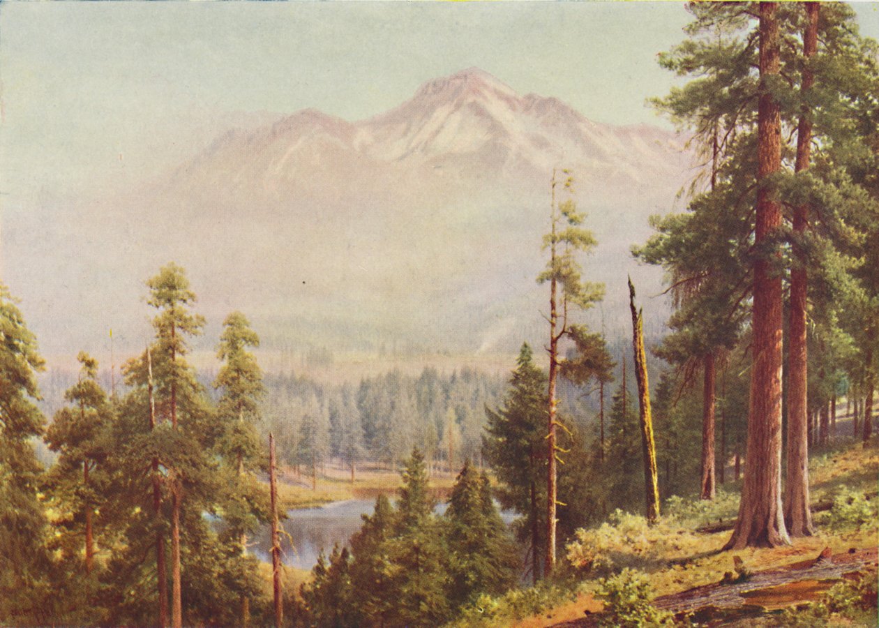 Shasta-hegy, 1916 alkotó: Harold Sutton Palmer