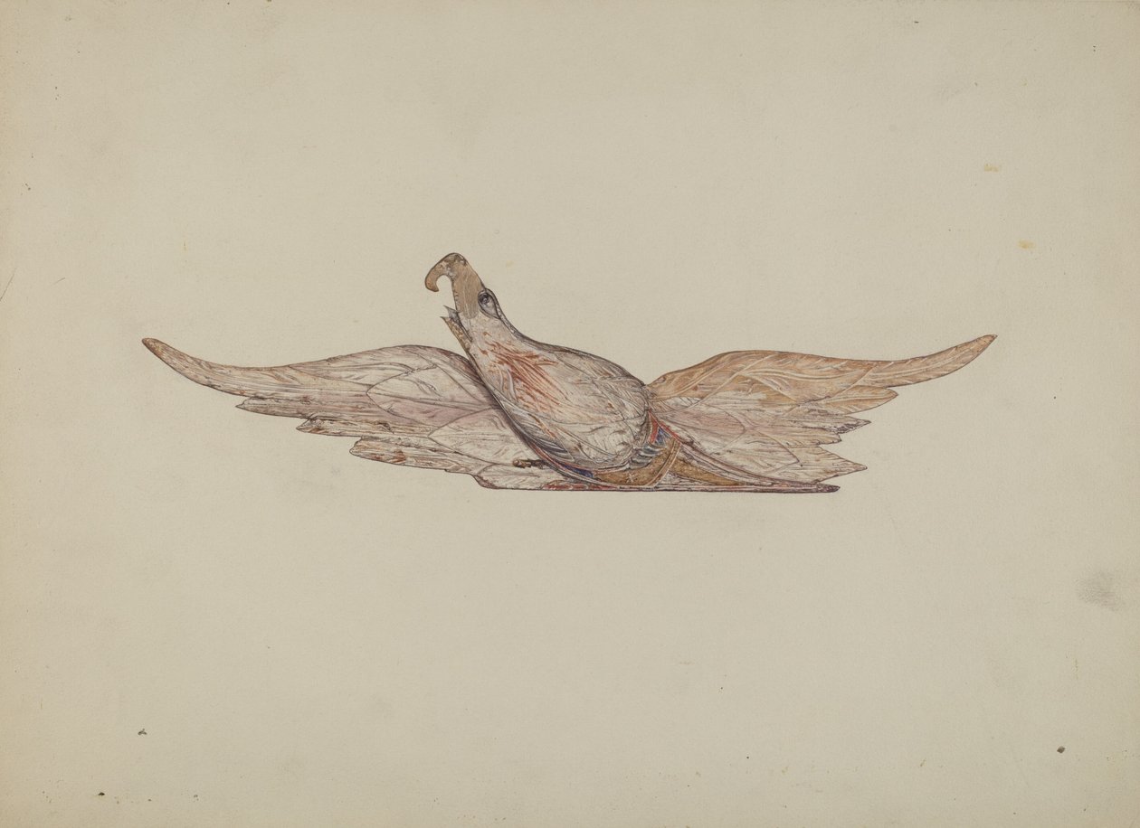 Kis faragott Bellamy Eagle, c. 1939. alkotó: Harriette Gale