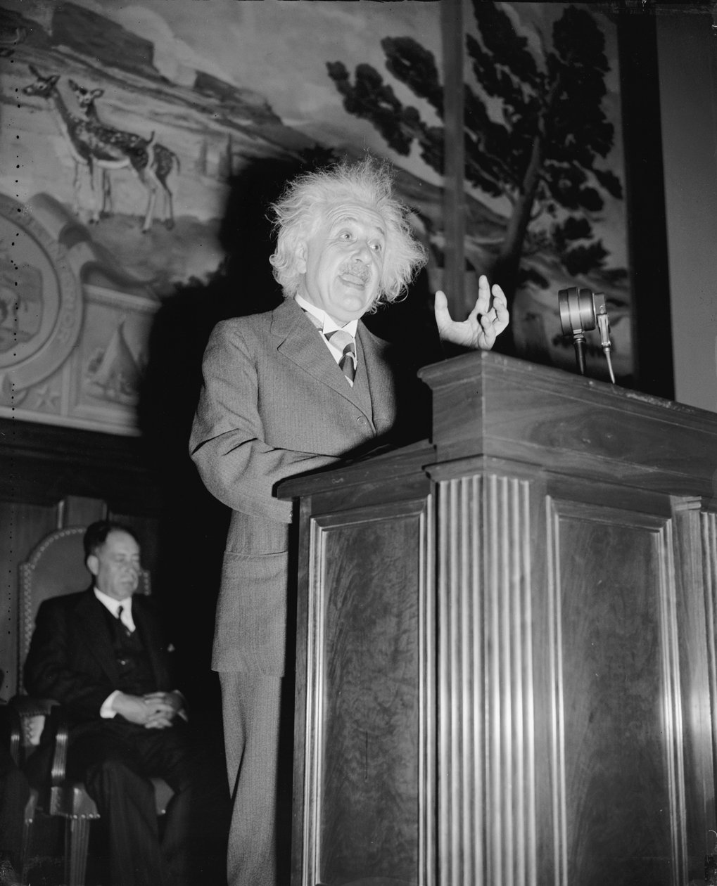 Albert Einstein beszél, 1940 körül (f/w fotó) alkotó: Harris & Ewing