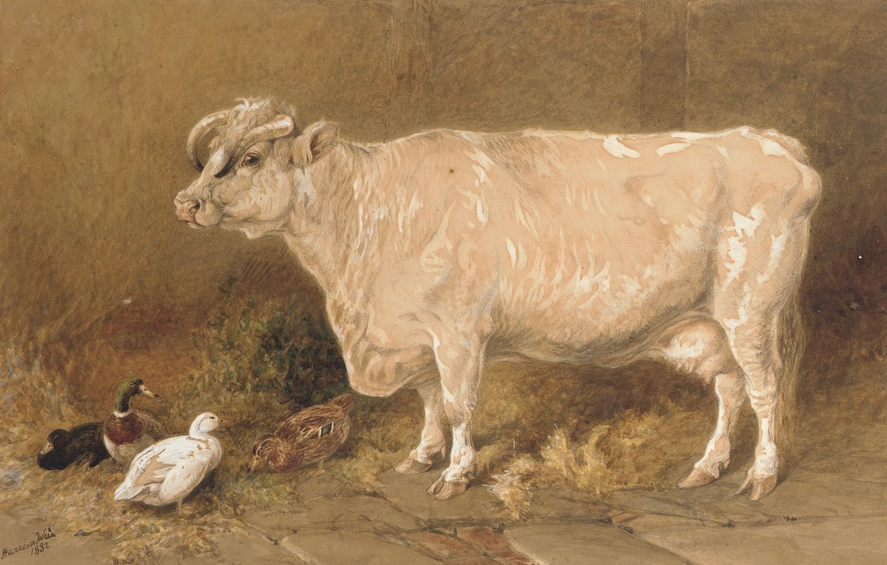 Tehén kacsákkal egy istállóban alkotó: Harrison William Weir