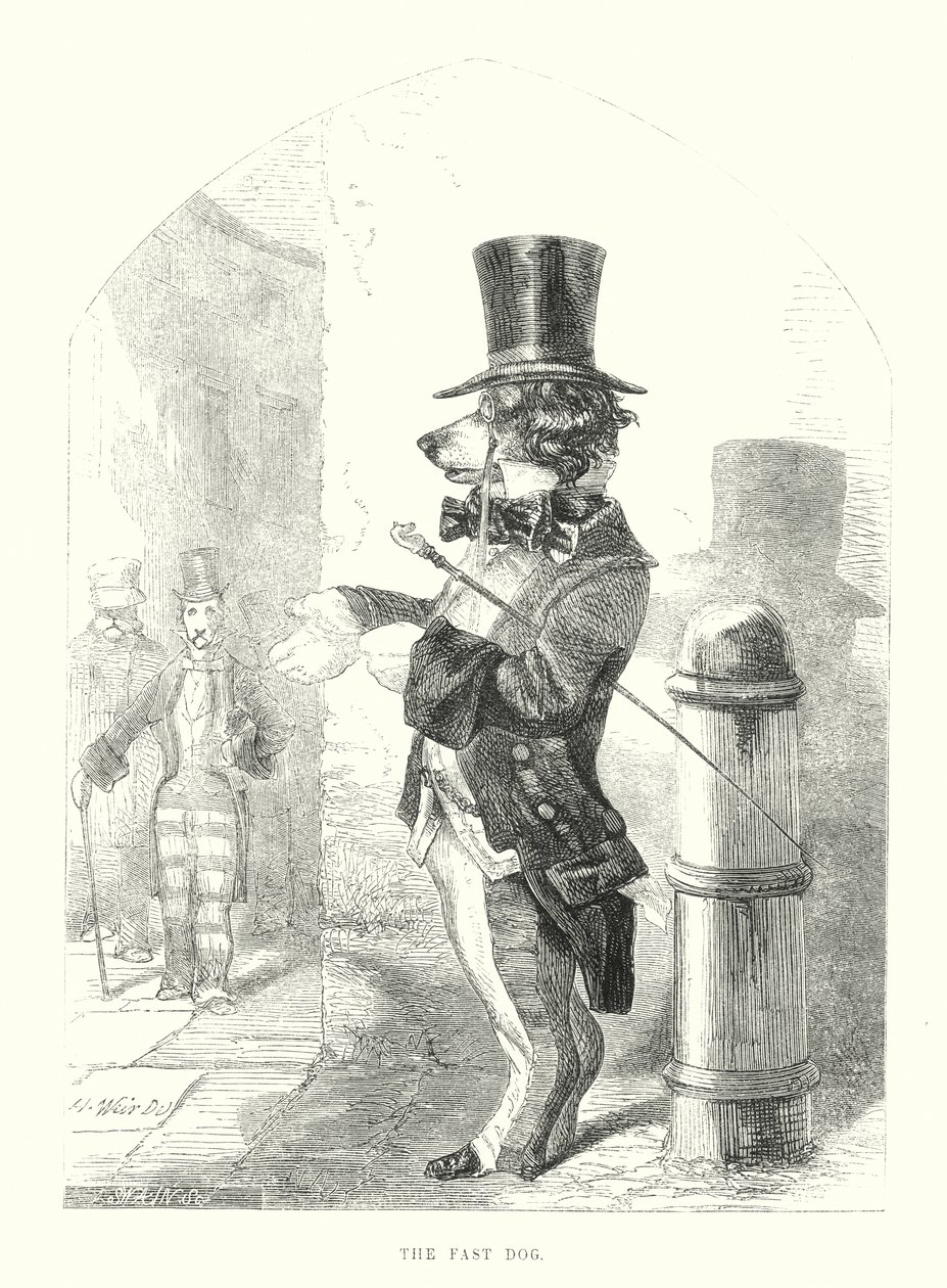 Vicces kutyák: A gyors kutya (metszet) alkotó: Harrison William Weir