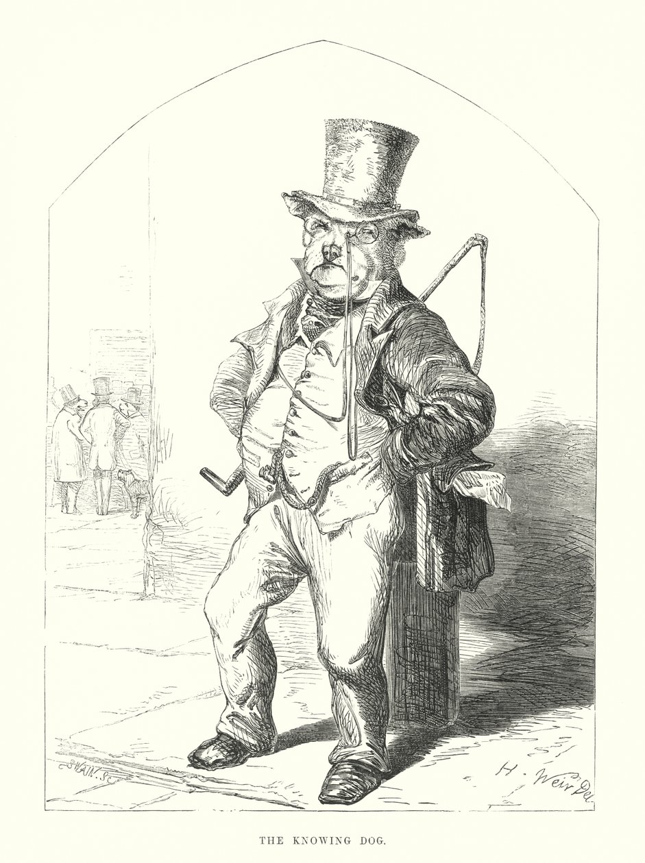 Vicces kutyák: A tudós kutya (metszet) alkotó: Harrison William Weir