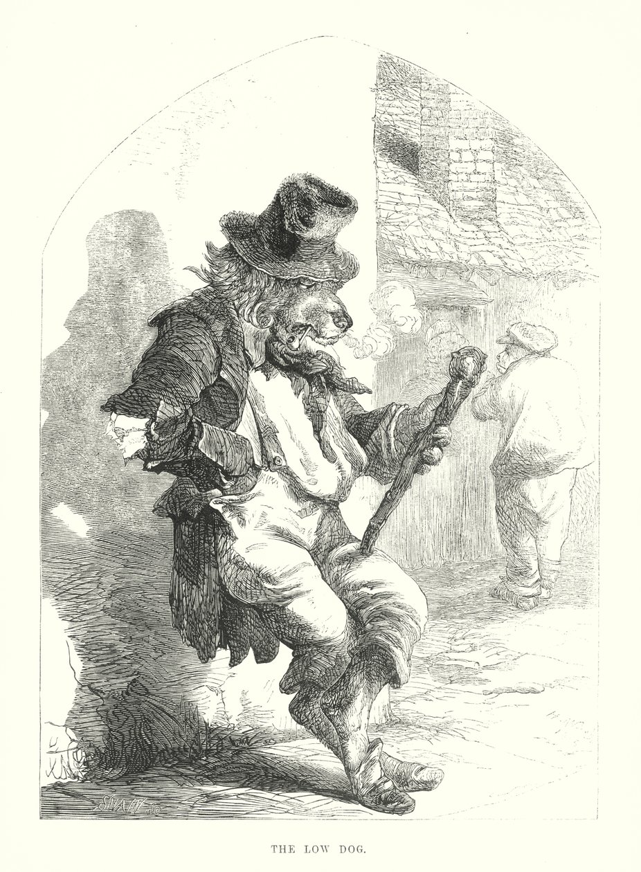  alkotó: Harrison William Weir
