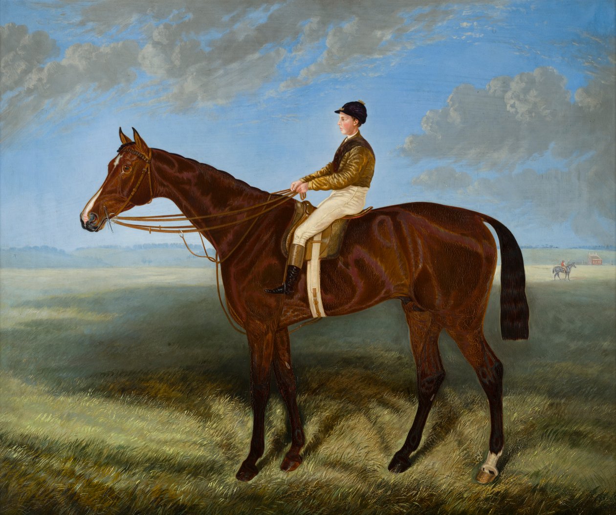 Salpinctes-a Race Horse, 1814-82 körül (olaj, vászon) alkotó: Harry (after) Hall