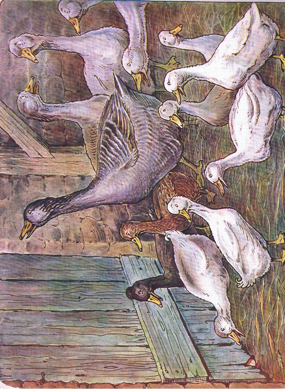 Miért jelentem ki, 1920 alkotó: Harry B Neilson