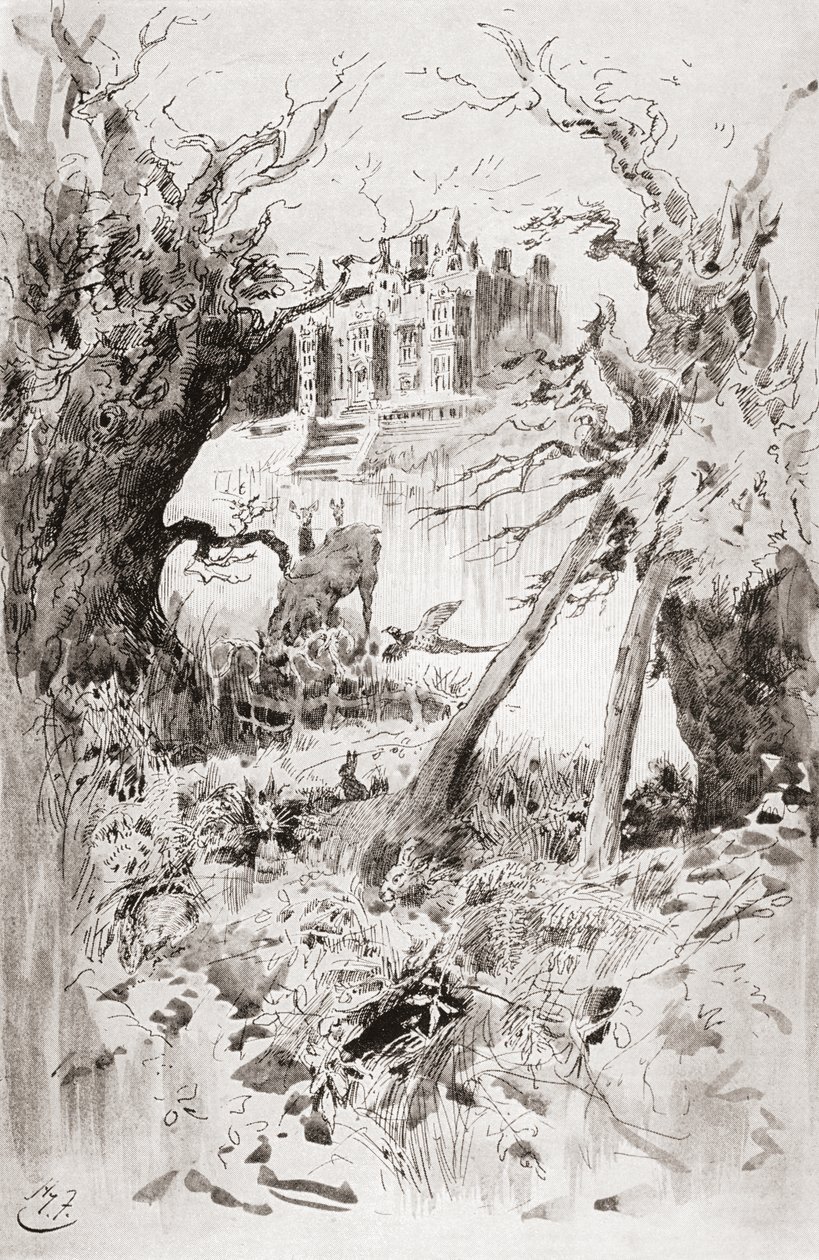 Sivár Ház. Harry Furniss illusztrációja Charles Dickens Bleak House című regényéhez, a The Testimonial Editionból, 1910-ben. alkotó: Harry Furniss