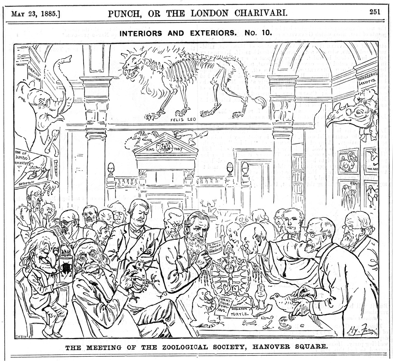 A Royal Zoological Society találkozója, Hanover Square, London, 1885 alkotó: Harry Furniss