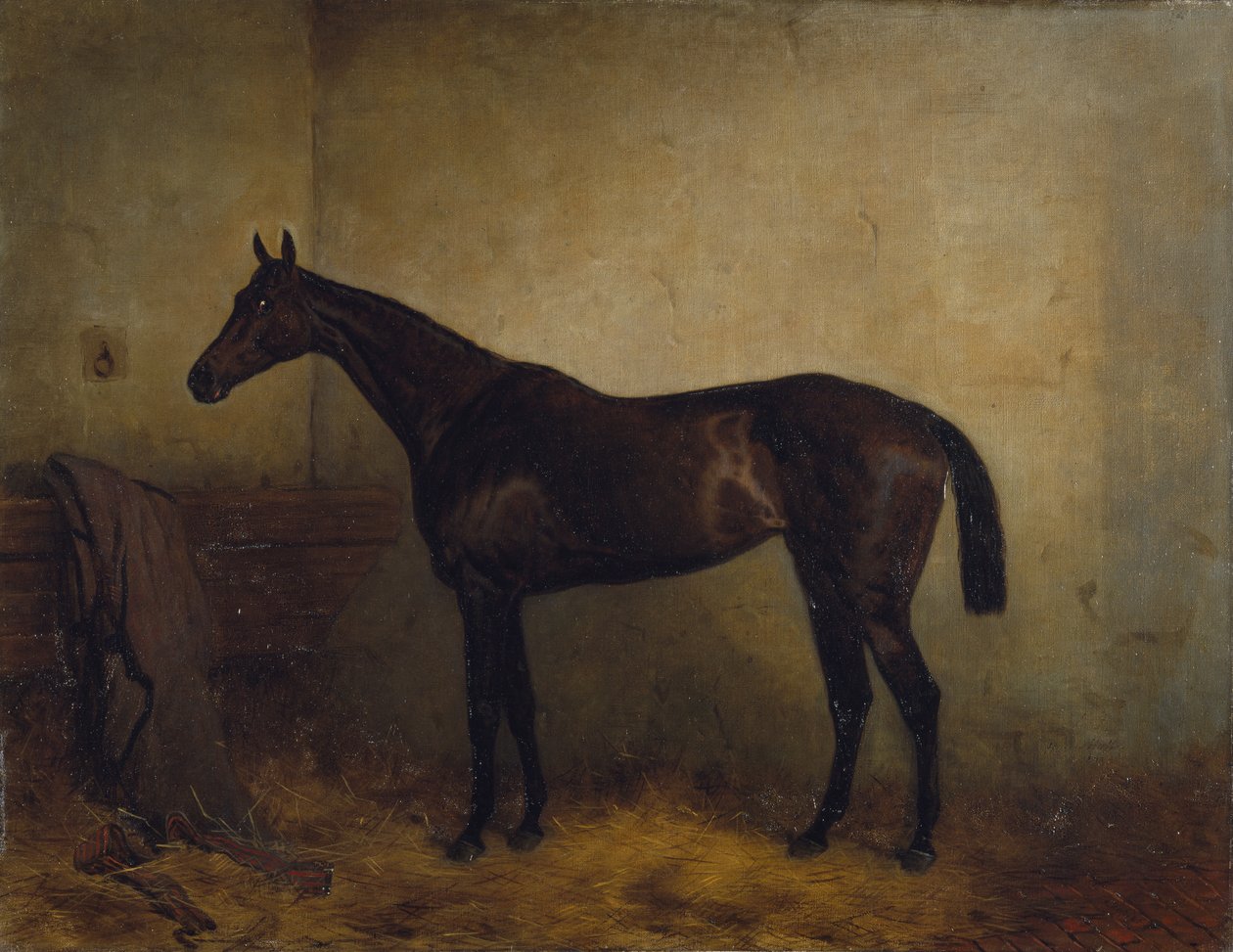 Chaplet, egy öblös faj kanca, laza dobozban, 1877 körül (olaj, vászon) alkotó: Harry Hall