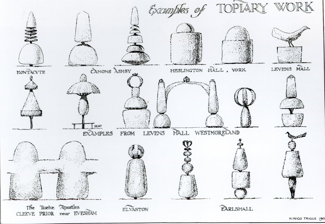Példák a topiári munkára, 1902 alkotó: Harry Inigo Triggs