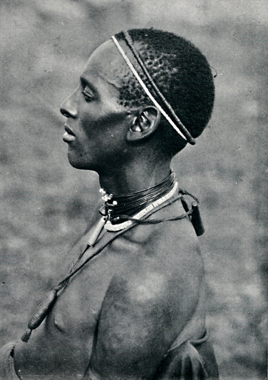 Hima Mpororoból, Egyenlítői Afrikából, a Victoria Nyanza folyótól nyugatra, 1912 alkotó: Harry Johnston