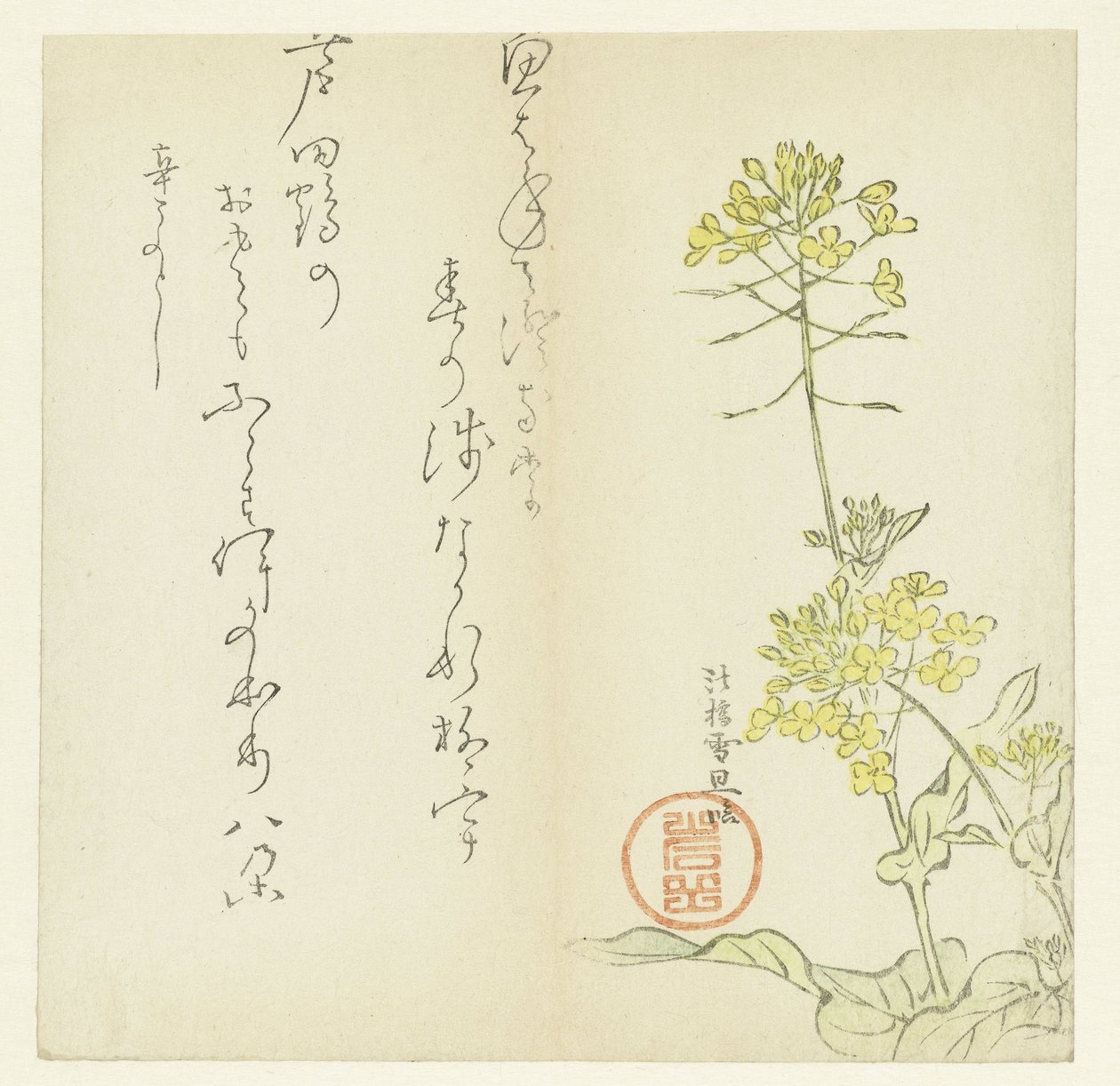 Virágok alkotó: Hasegawa Settan