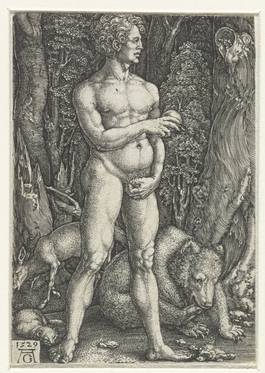 Ádám alkotó: Heinrich Aldegrever