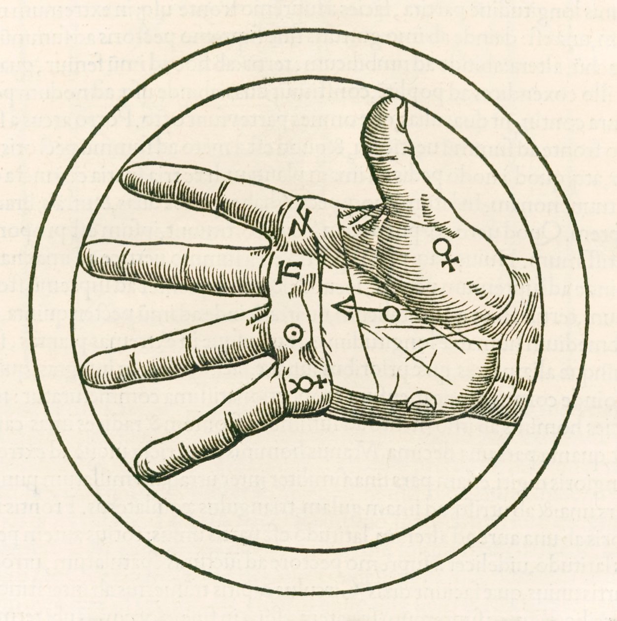 A tenyérjóslás keze című metszet Heinrich Cornelius Agrippa von Nettesheimtől (1486-1535) De occulta philosophia libri tres (Az okkult filozófia három könyve) 1533-ban jelent meg. alkotó: Heinrich Cornelius Agrippa von Nettesheim