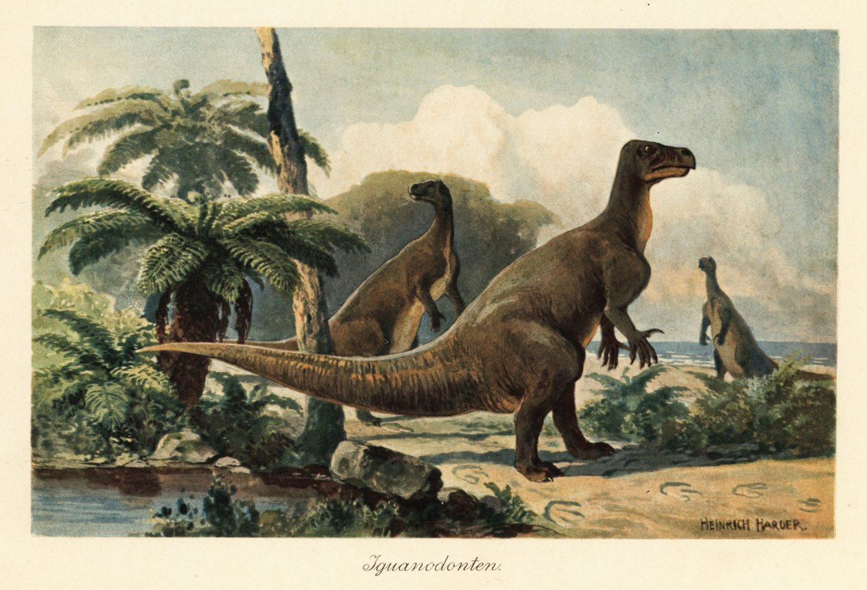 Iguanodon bernissartensis egy őskori páfrányerdőben. alkotó: Heinrich Harder
