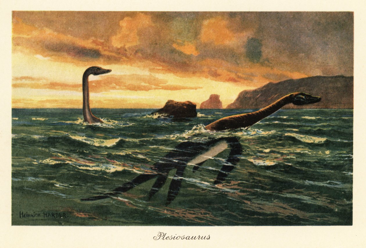 Plesiosaurus dolichodeirus az óceánban. alkotó: Heinrich Harder