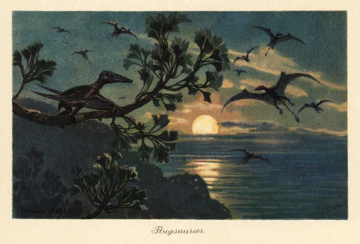 Rhamphorhynchus pterosaurusok repülnek a holdfényben. alkotó: Heinrich Harder