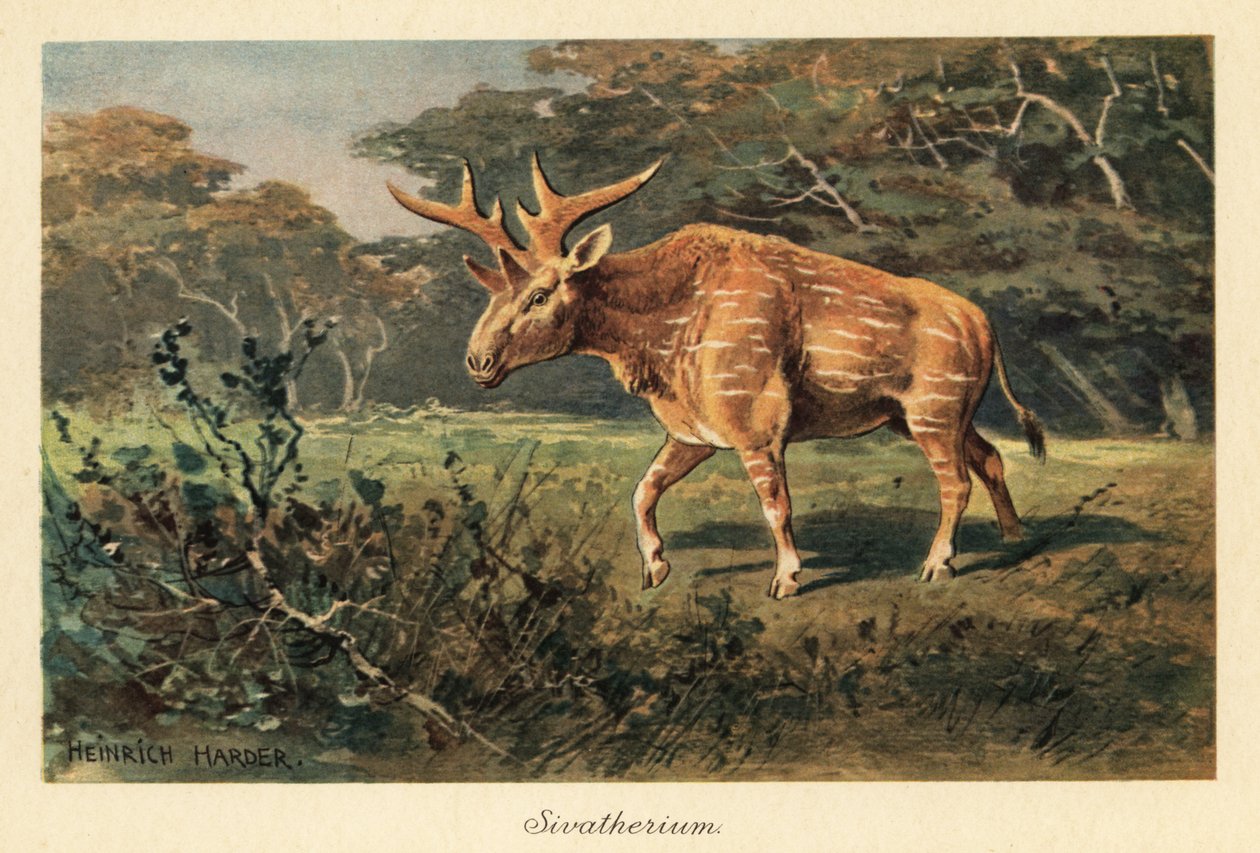 Sivatherium giganteum egy dzsungel tisztáson. alkotó: Heinrich Harder