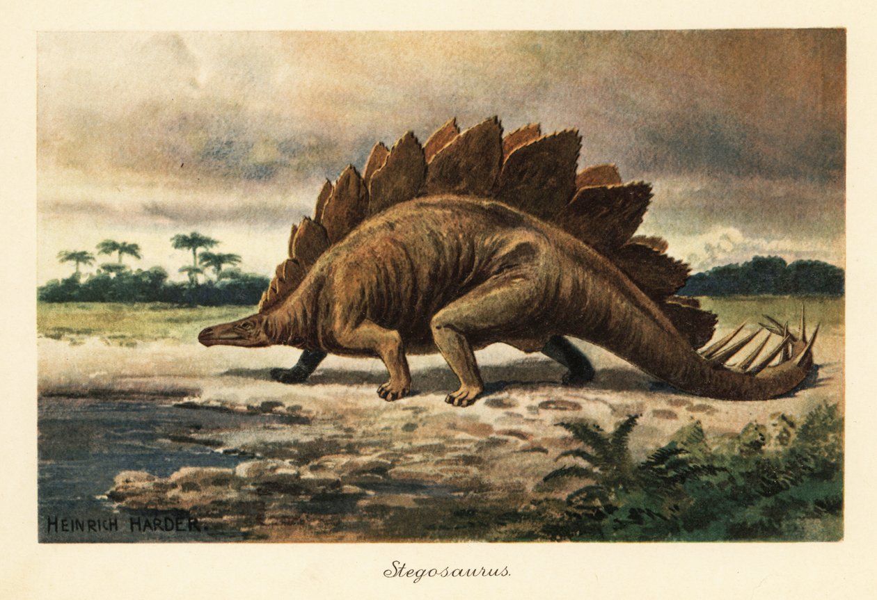 Stegosaurus armatus a késő jura. alkotó: Heinrich Harder