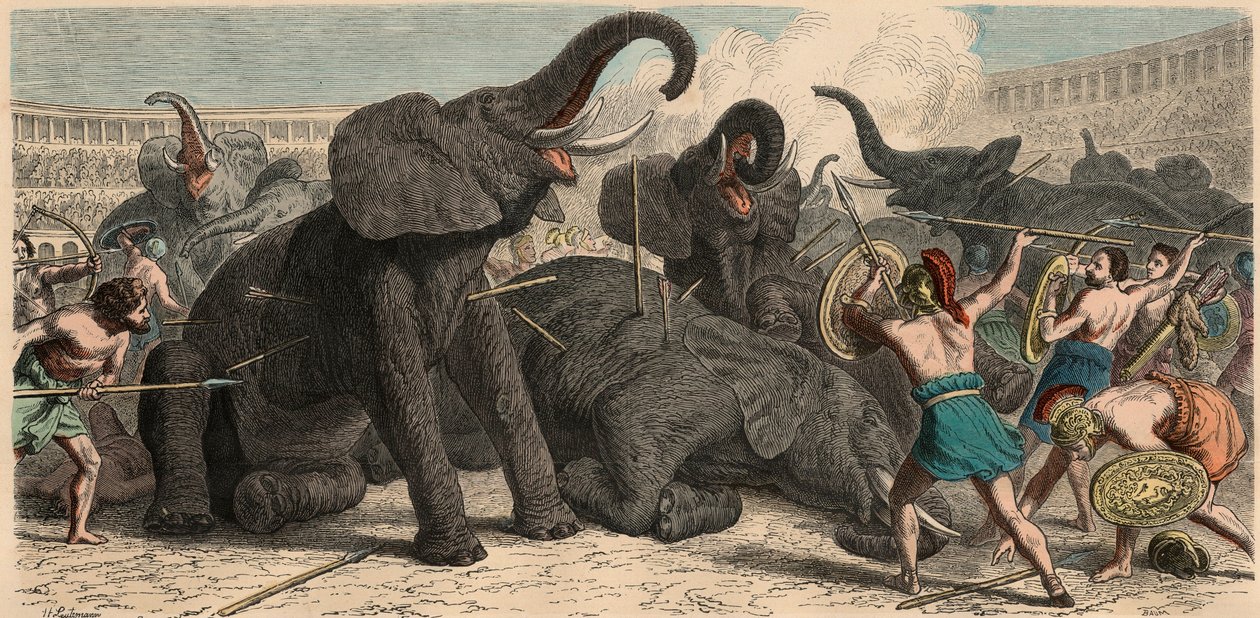 Az ókori Róma: Elefántokat öltek meg az amfiteátrumban, 1866 alkotó: Heinrich Leutemann