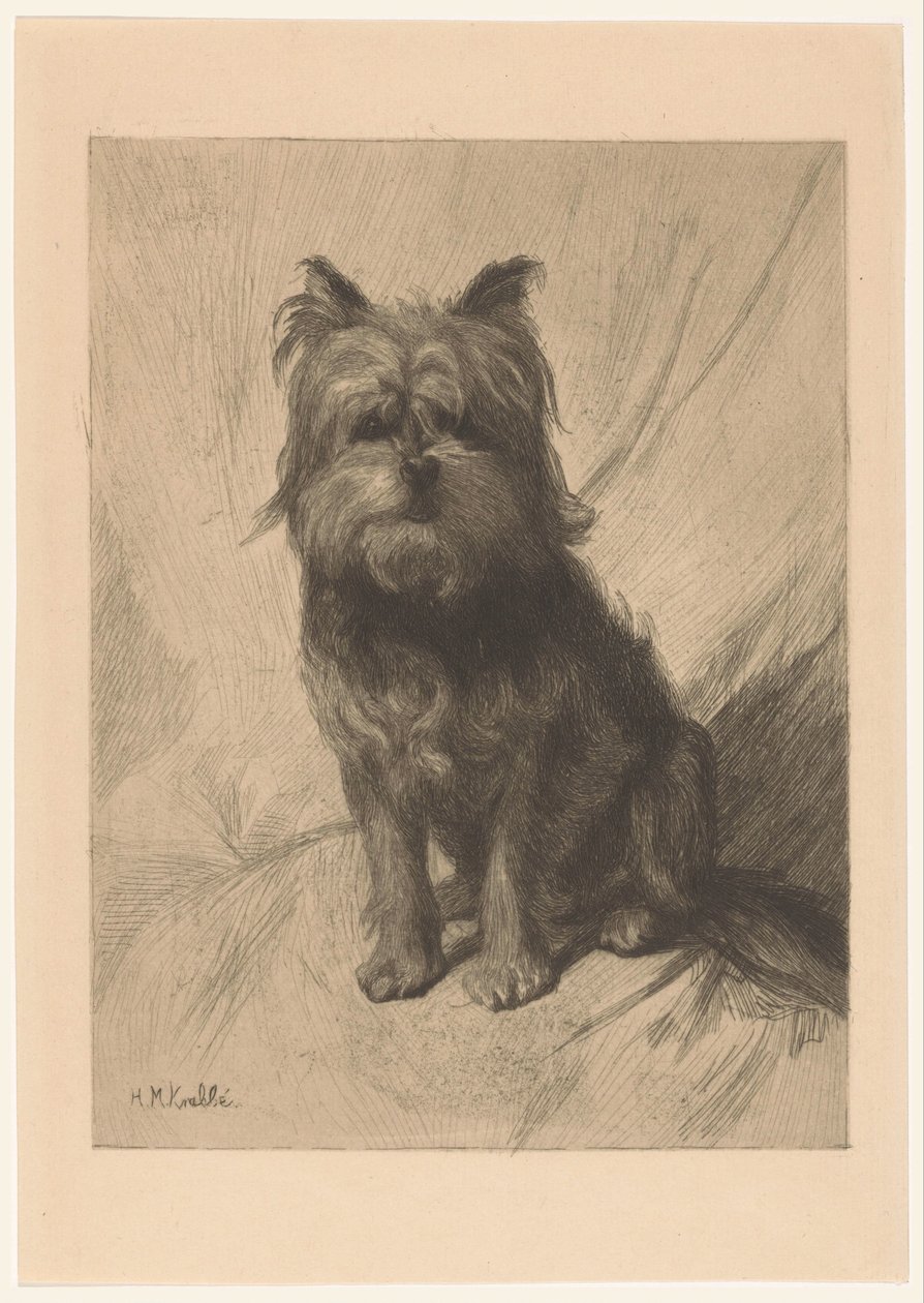 holland smoushond alkotó: Heinrich M. Krabbé