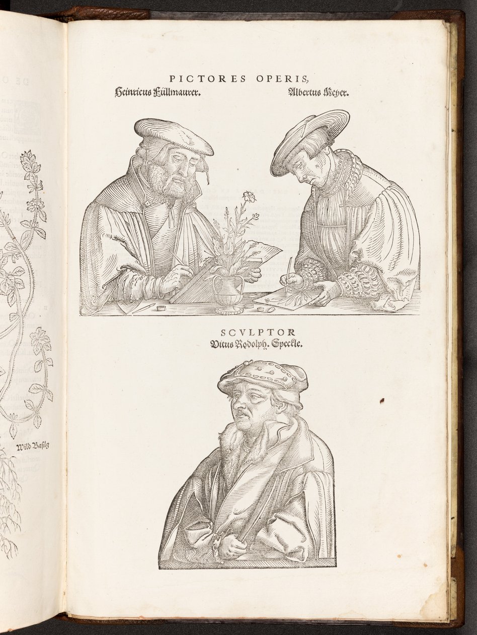 BT3.267.5 opp p896 Művészek és metszők, illusztráció a De historia stirpium commentarii insignesből, Leonhart Fuchs, 1542 alkotó: Heinrich and Meyer, Albert Fullmaurer
