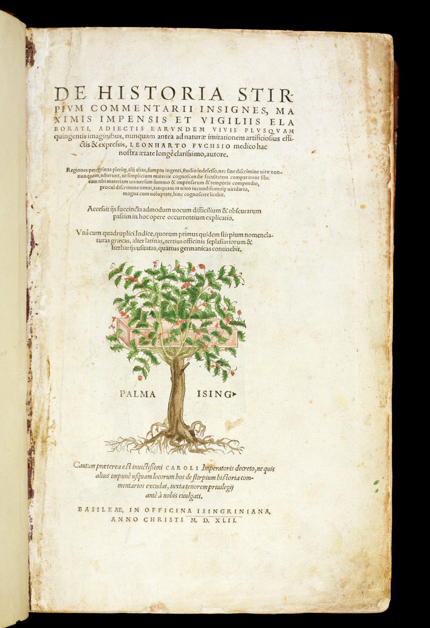 Címlap a "De Historia Stirpium Commentarii Insignes"-ból, Leonard Fuchs (1501-66), metszett Rodolphe Speckle (megh. 1550), megjelent 1542 alkotó: Heinrich and Meyer, Albert Fullmaurer