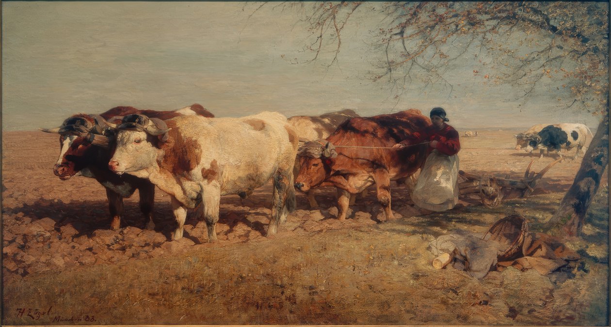 Négy ökörből álló csapat alkotó: Heinrich von Zügel