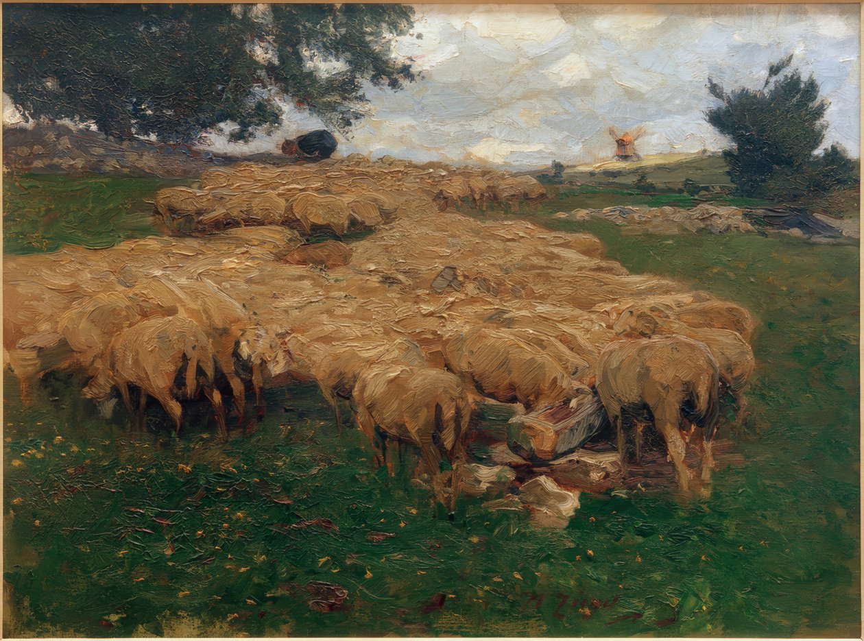 Birkanyáj a durva albon alkotó: Heinrich von Zügel