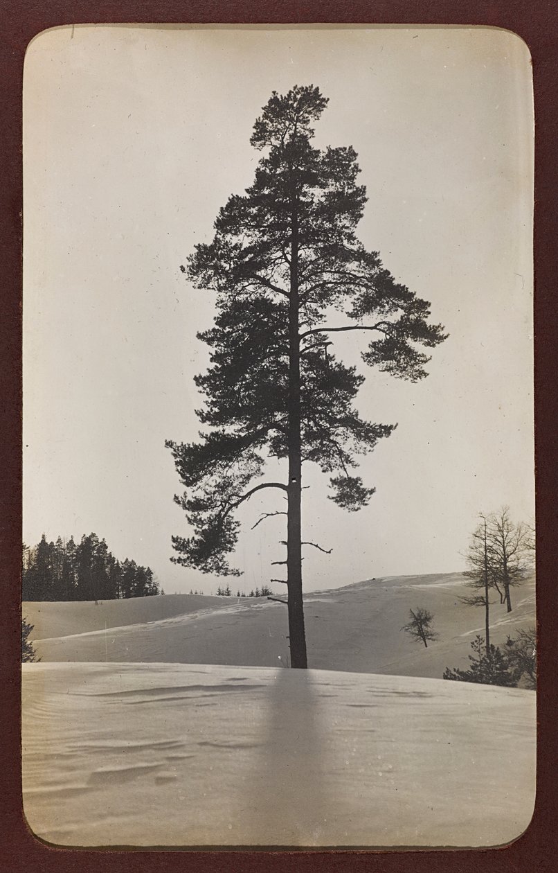 Első világháború: Ukrajna 1914-1916 között a német hadsereg inváziója idején. Táj hóval (f/w fotó) alkotó: Heldenfriedhof Dsessentniki (attr. to)
