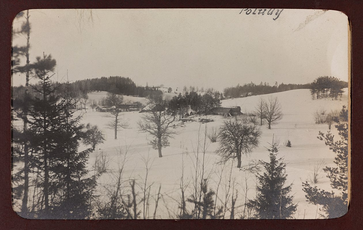 Első világháború: Ukrajna 1914-1916 között a német hadsereg inváziója idején. Kilátás hóval (f/w fotó) alkotó: Heldenfriedhof Dsessentniki (attr. to)