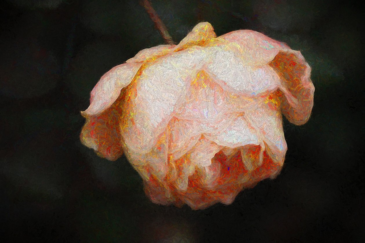 Bloom, 2018, alkotó: Helen White