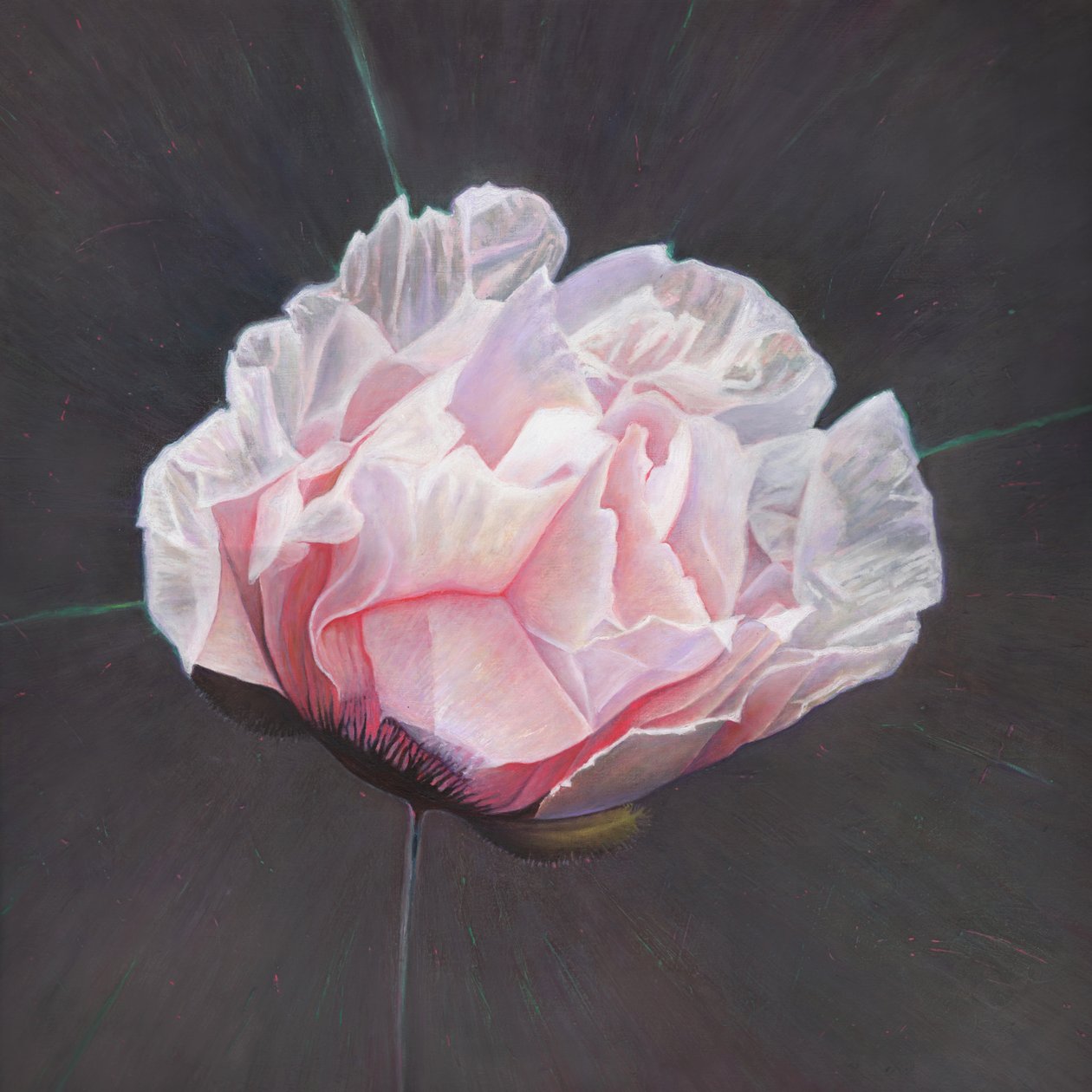 Felbukkanás, 2015, alkotó: Helen White