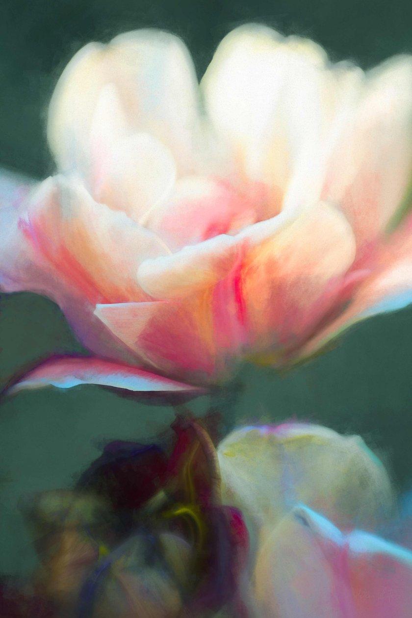 Emergence II, 2018, alkotó: Helen White