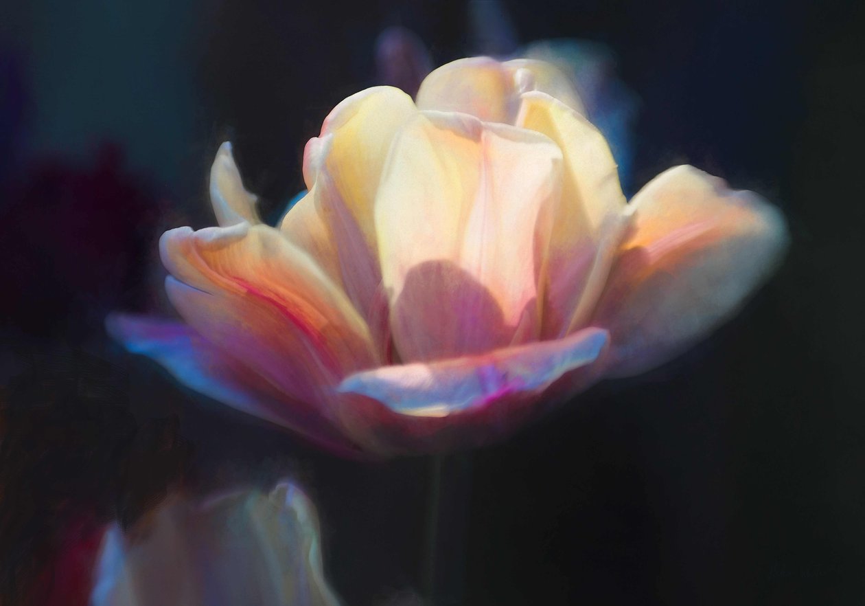 Emergence III, 2018, alkotó: Helen White