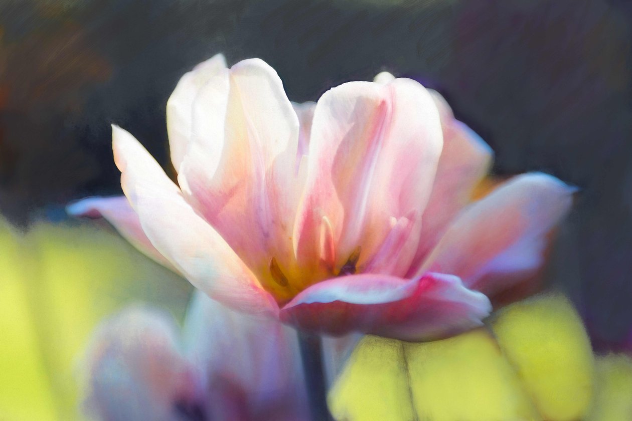 Emergence III, 2018, alkotó: Helen White