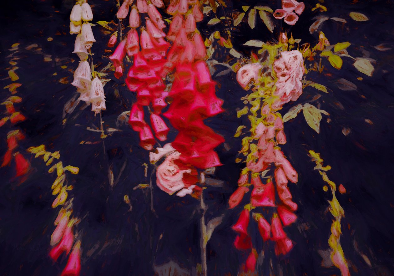 Még a sötét helyeken, 2018, alkotó: Helen White