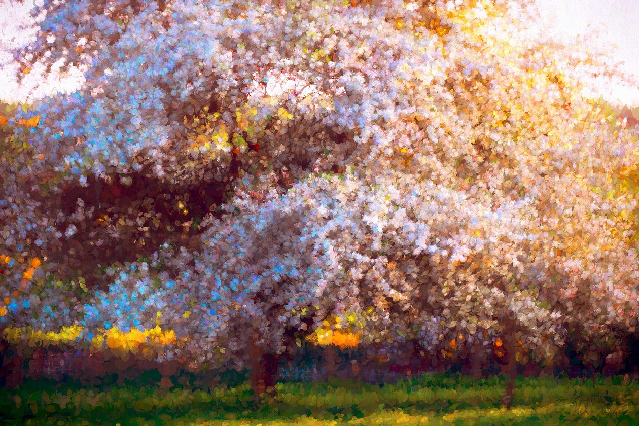 Evening Blossom, 2018, alkotó: Helen White
