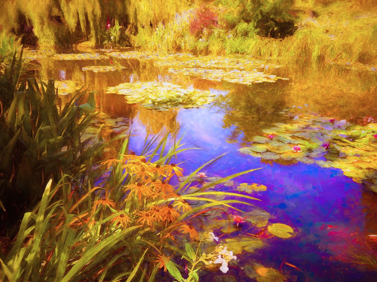 Giverny vízililiomok, 2019, alkotó: Helen White