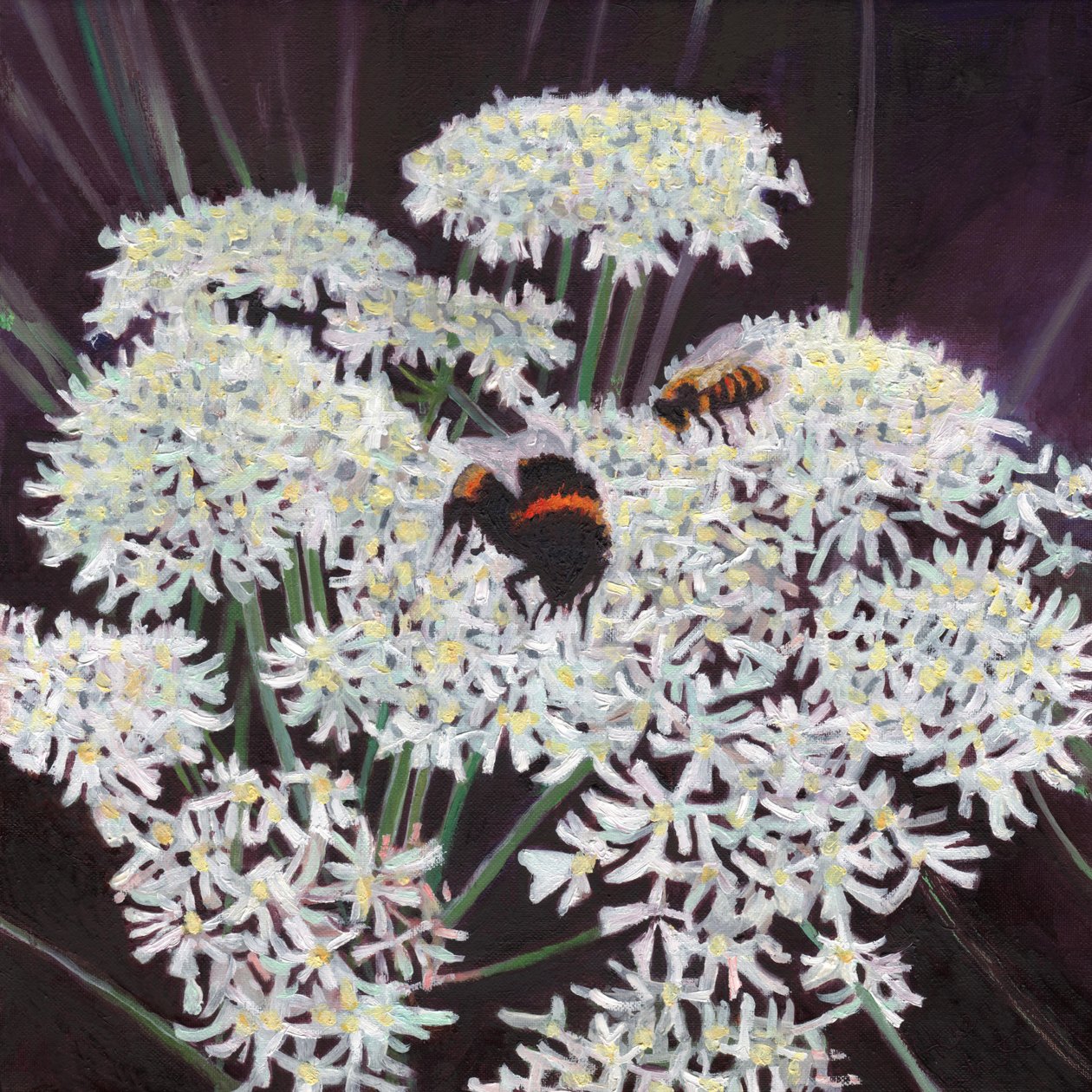 Virágzat, 2015, alkotó: Helen White
