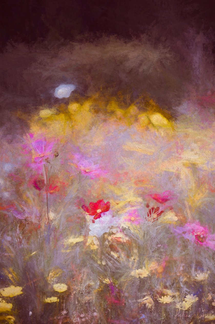 Rét, 2018, alkotó: Helen White