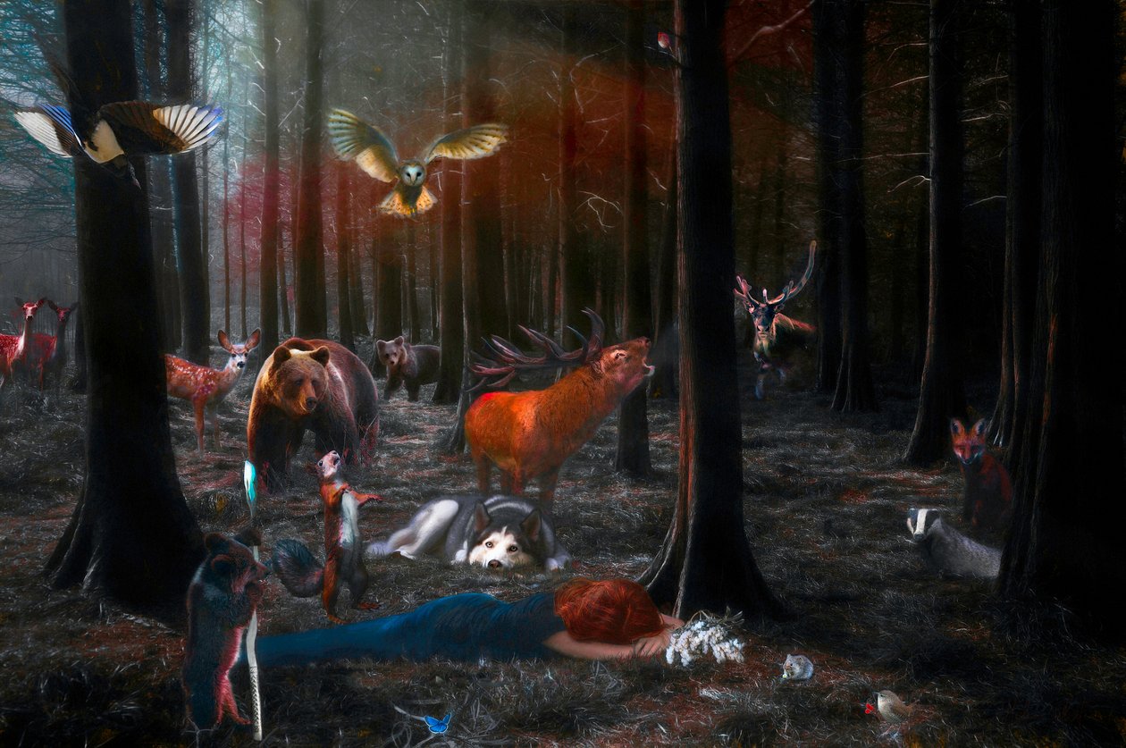Kérlek ébredj fel, 2018 alkotó: Helen White
