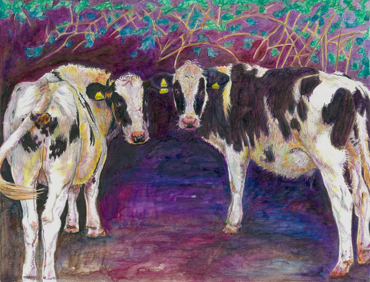 Menhely tehenek, 2011, (színes ceruza papíron) alkotó: Helen White