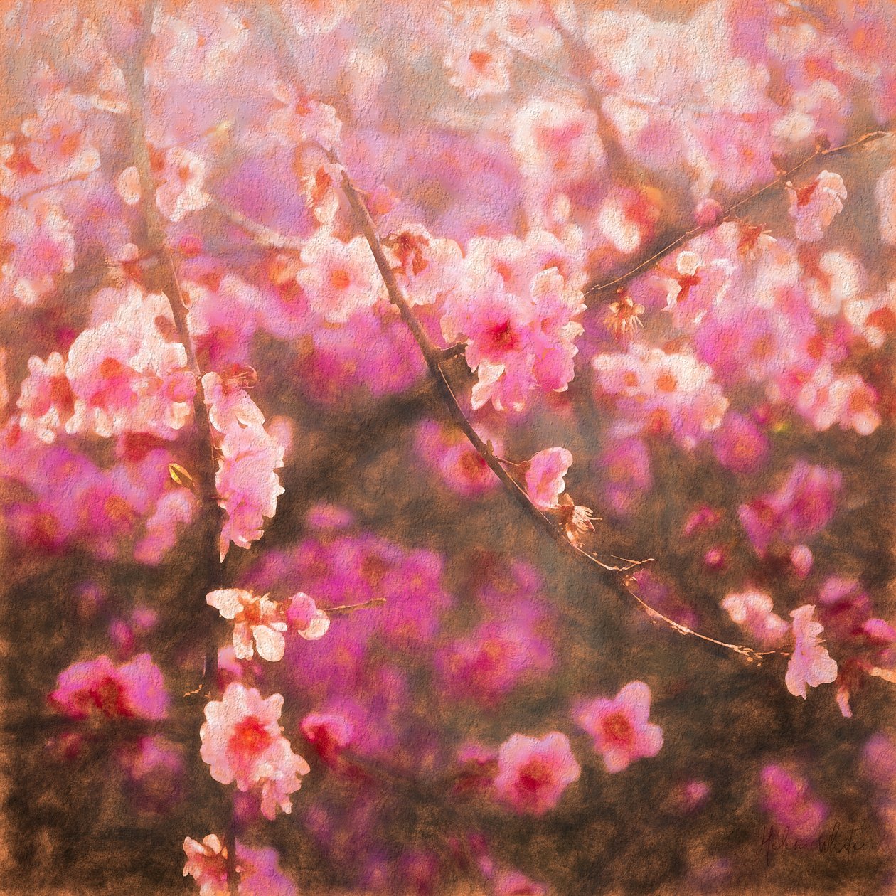 Spring Spring; 2018, Vegyes technika) alkotó: Helen White