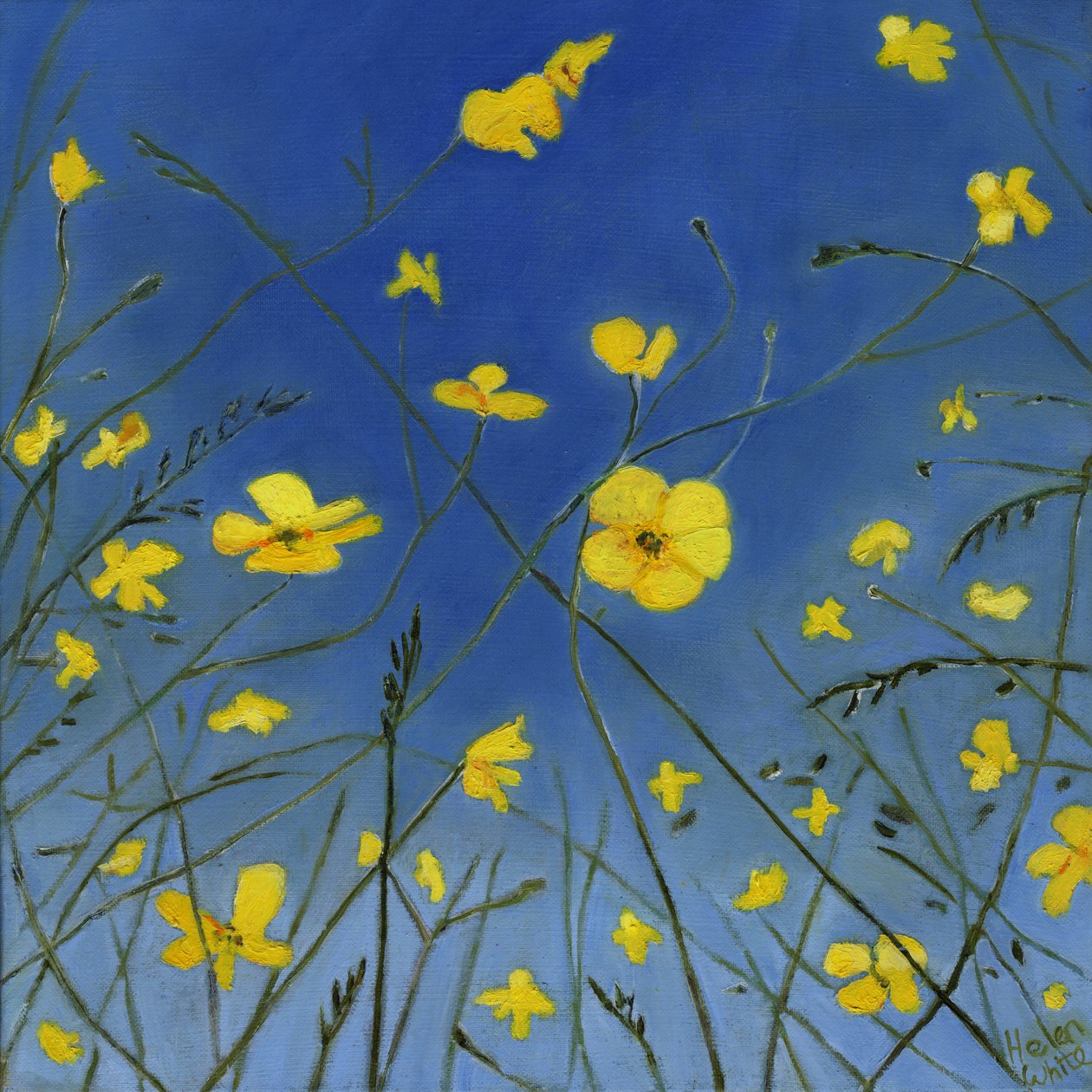 Nyári napok és lusta utak, 2015, alkotó: Helen White