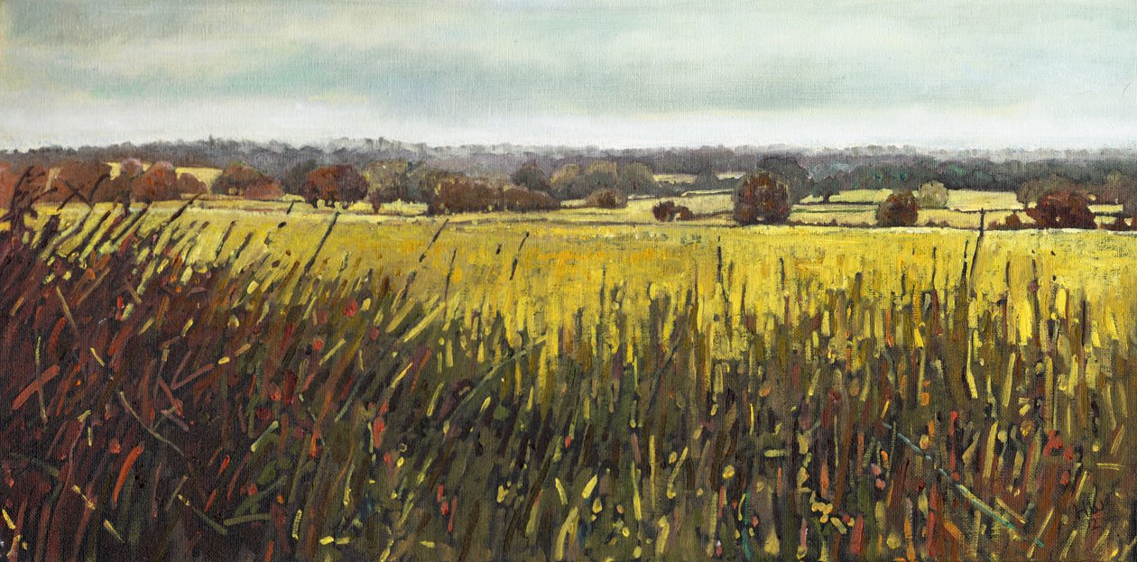 Riseley felé, 2012, alkotó: Helen White