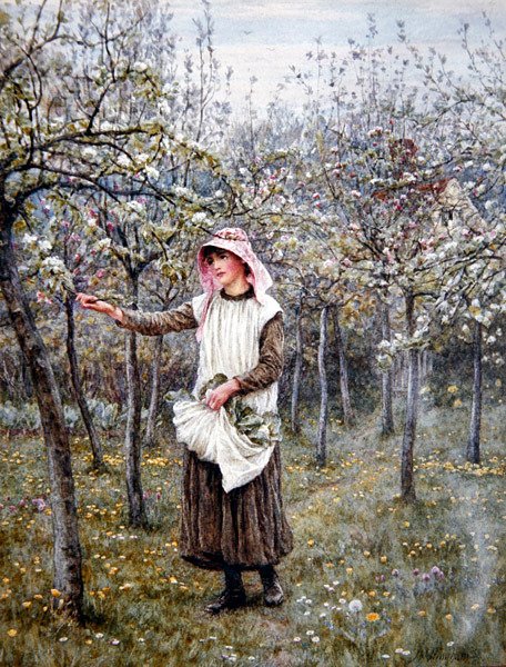 Virágzás ideje (akvarell papíron) alkotó: Helen Allingham
