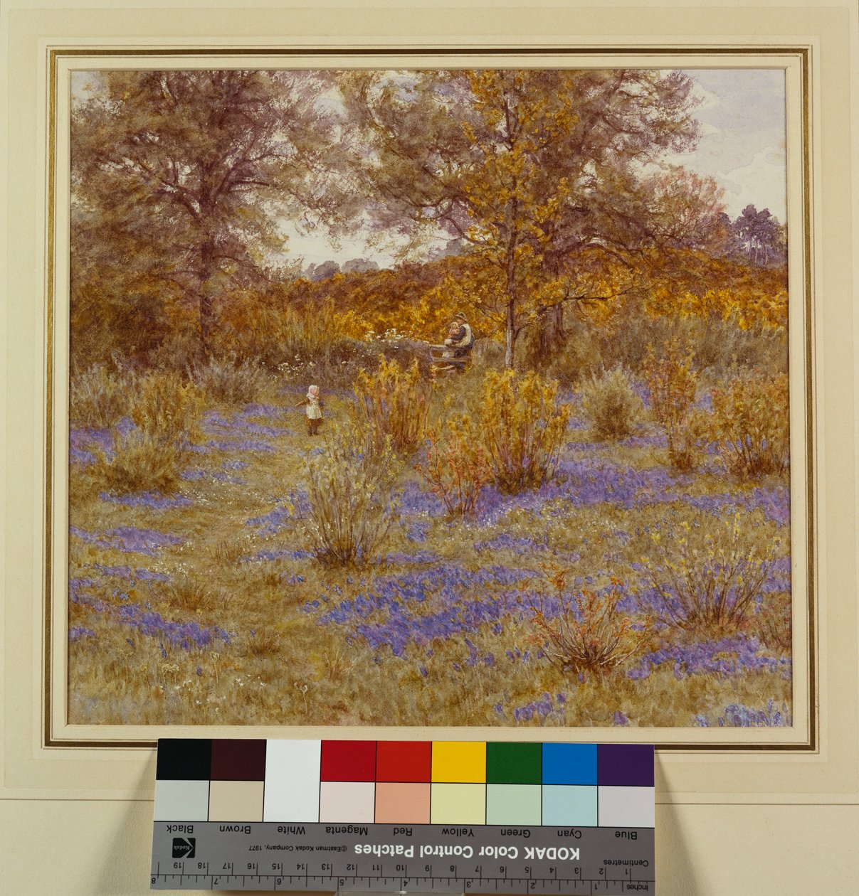 Bluebell Copse, 1889 alkotó: Helen Allingham