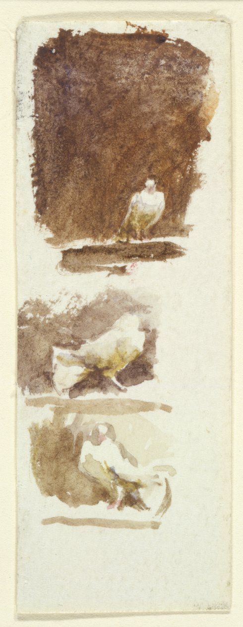 Galambok (wc papíron) alkotó: Helen Allingham
