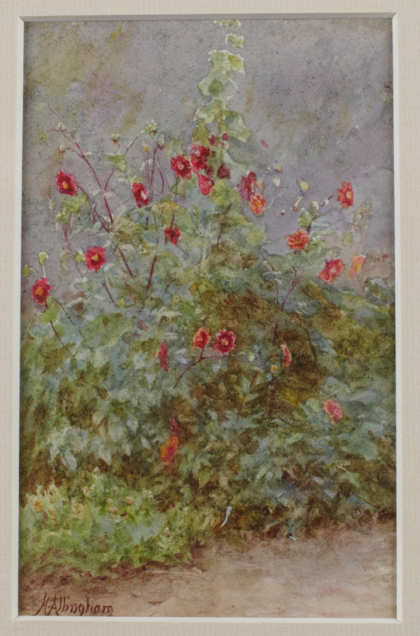 Flower Border, Hollyhock és Dáliák alkotó: Helen Allingham